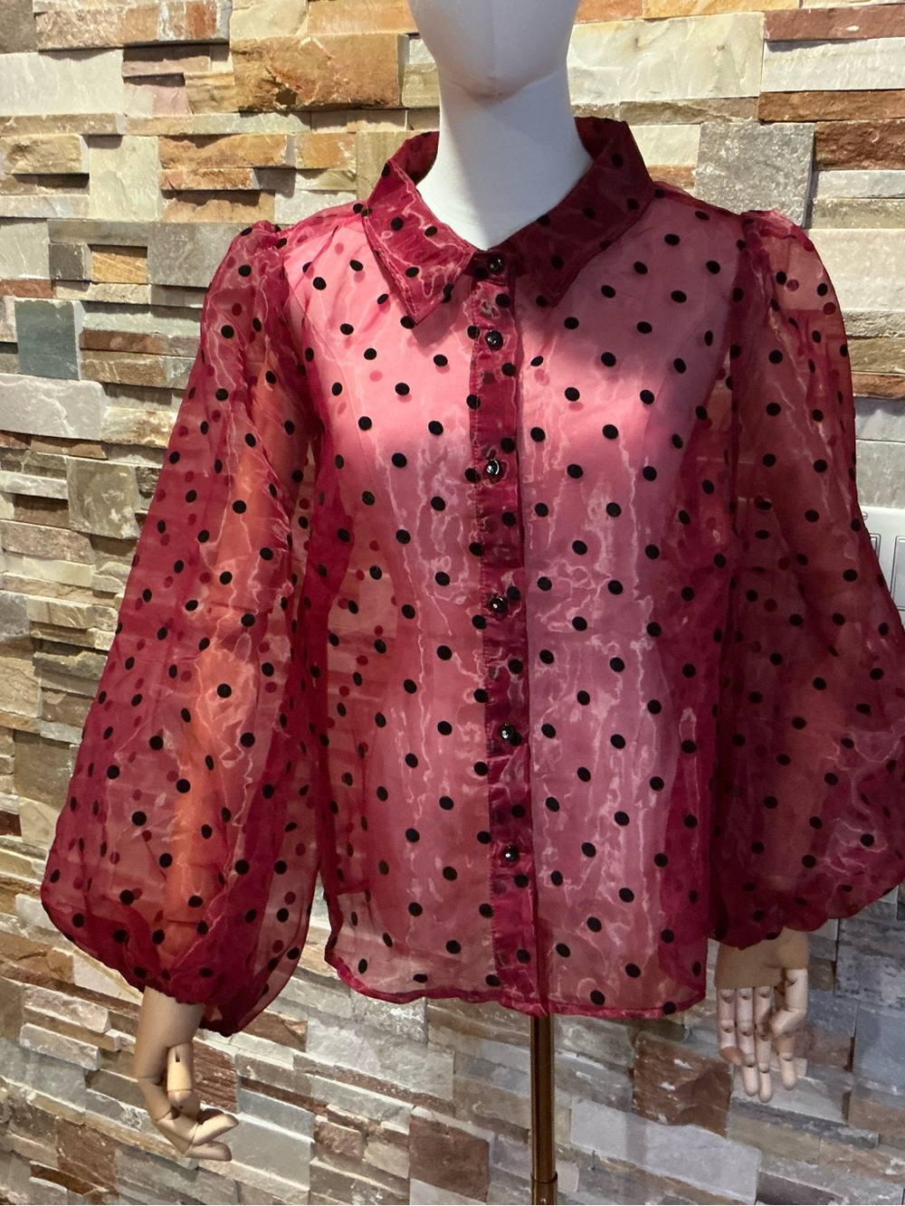 Kaktus Sheer Burgundy Pink Polka Dot Button-Down Blouse